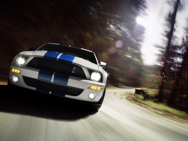 Ford Mustang Shelby фото