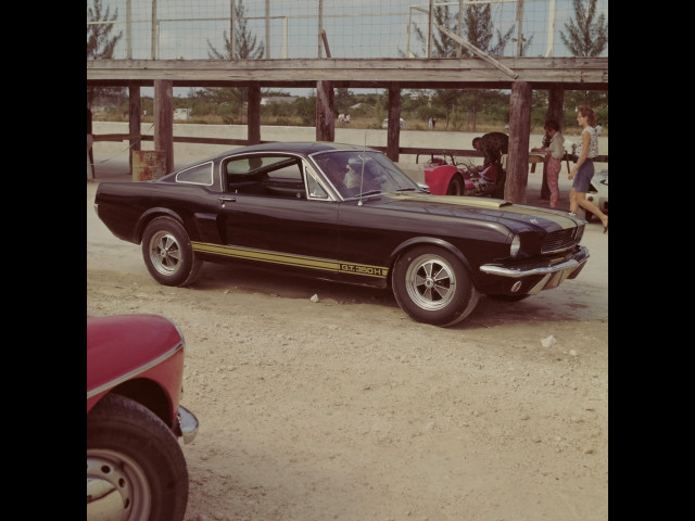 Ford Mustang Shelby фото