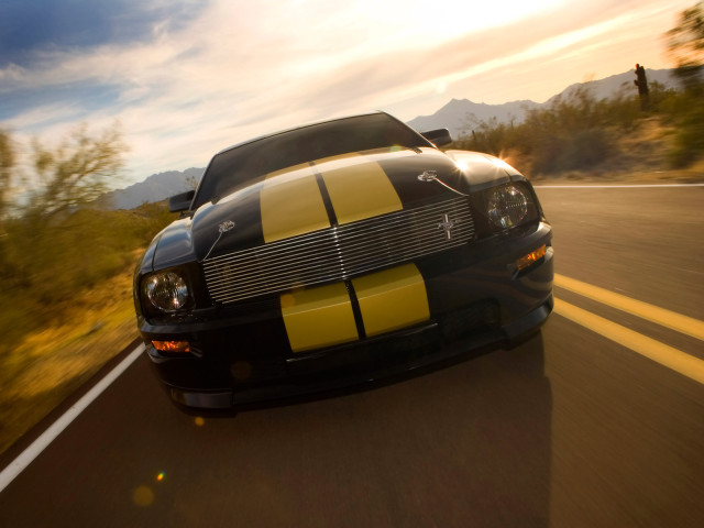 Ford Mustang Shelby фото