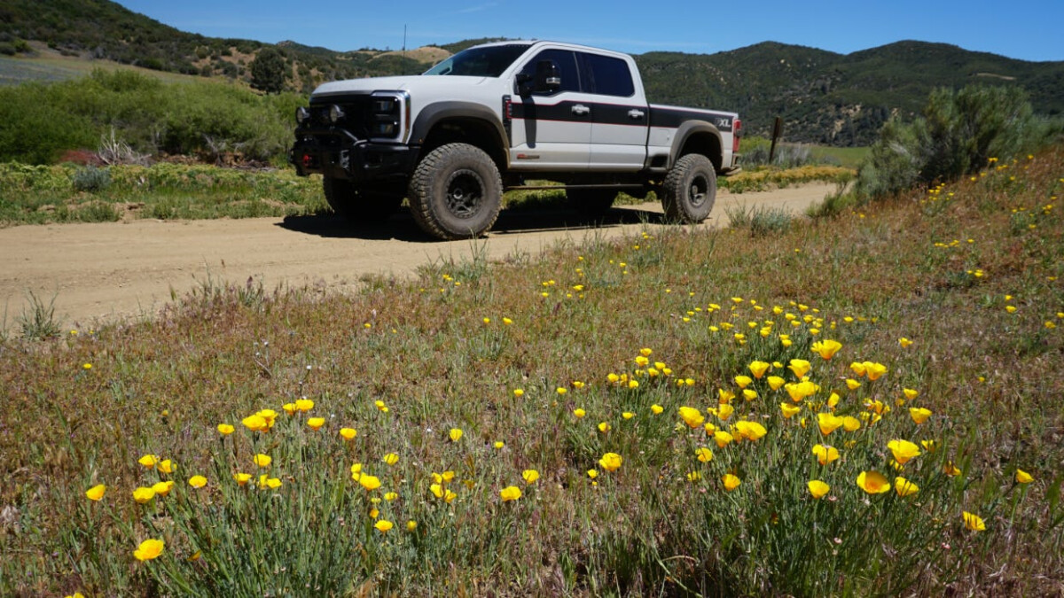 Ford Super Duty фото 214357
