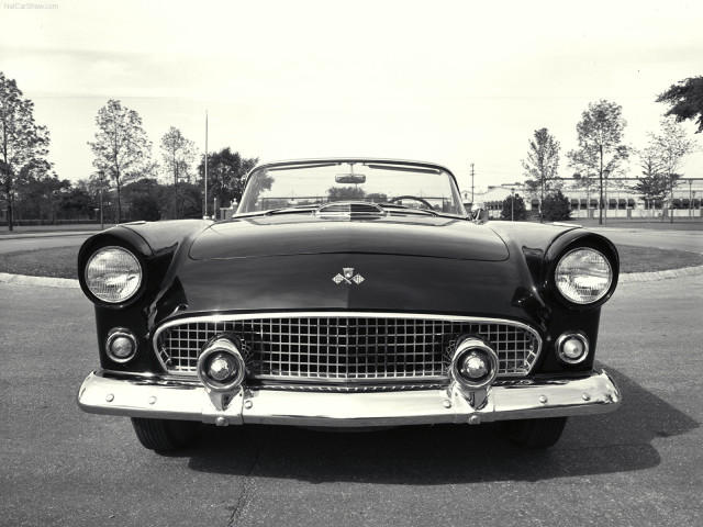 Ford Thunderbird фото