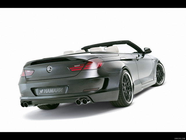 Hamann BMW 6 Series (E63) фото