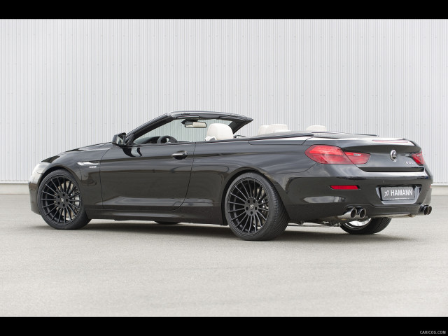 Hamann BMW 6 Series (E63) фото