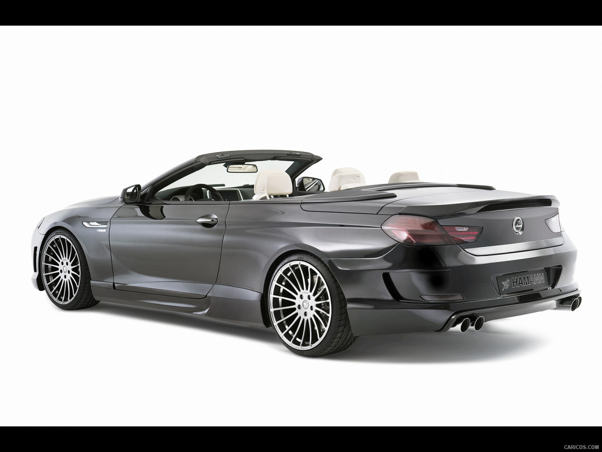 Hamann BMW 6 Series (E63) фото 137771