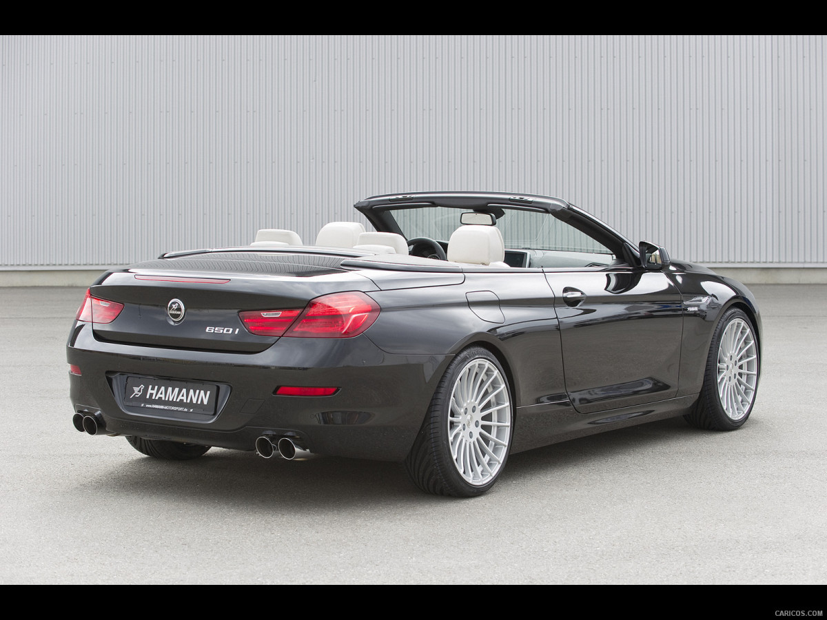 Hamann BMW 6 Series (E63) фото 137773