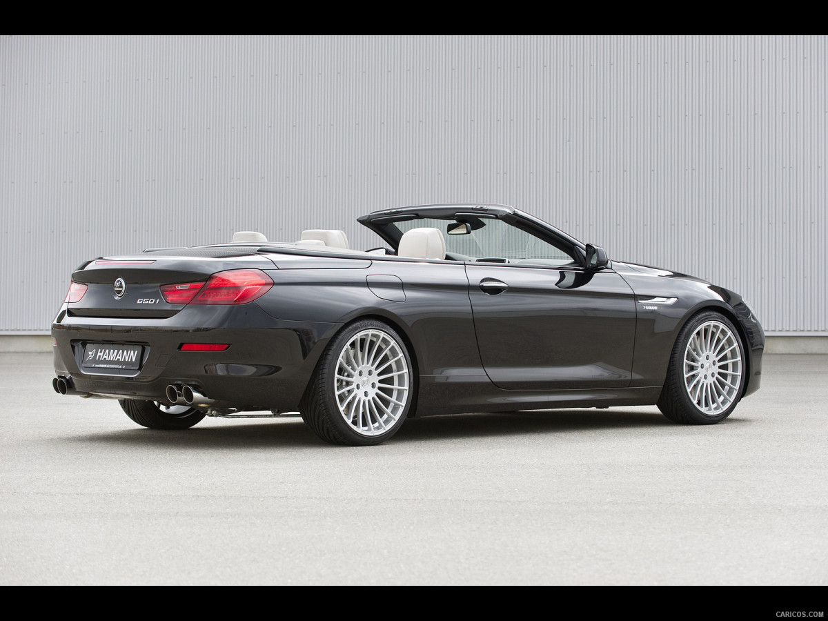 Hamann BMW 6 Series (E63) фото 137774