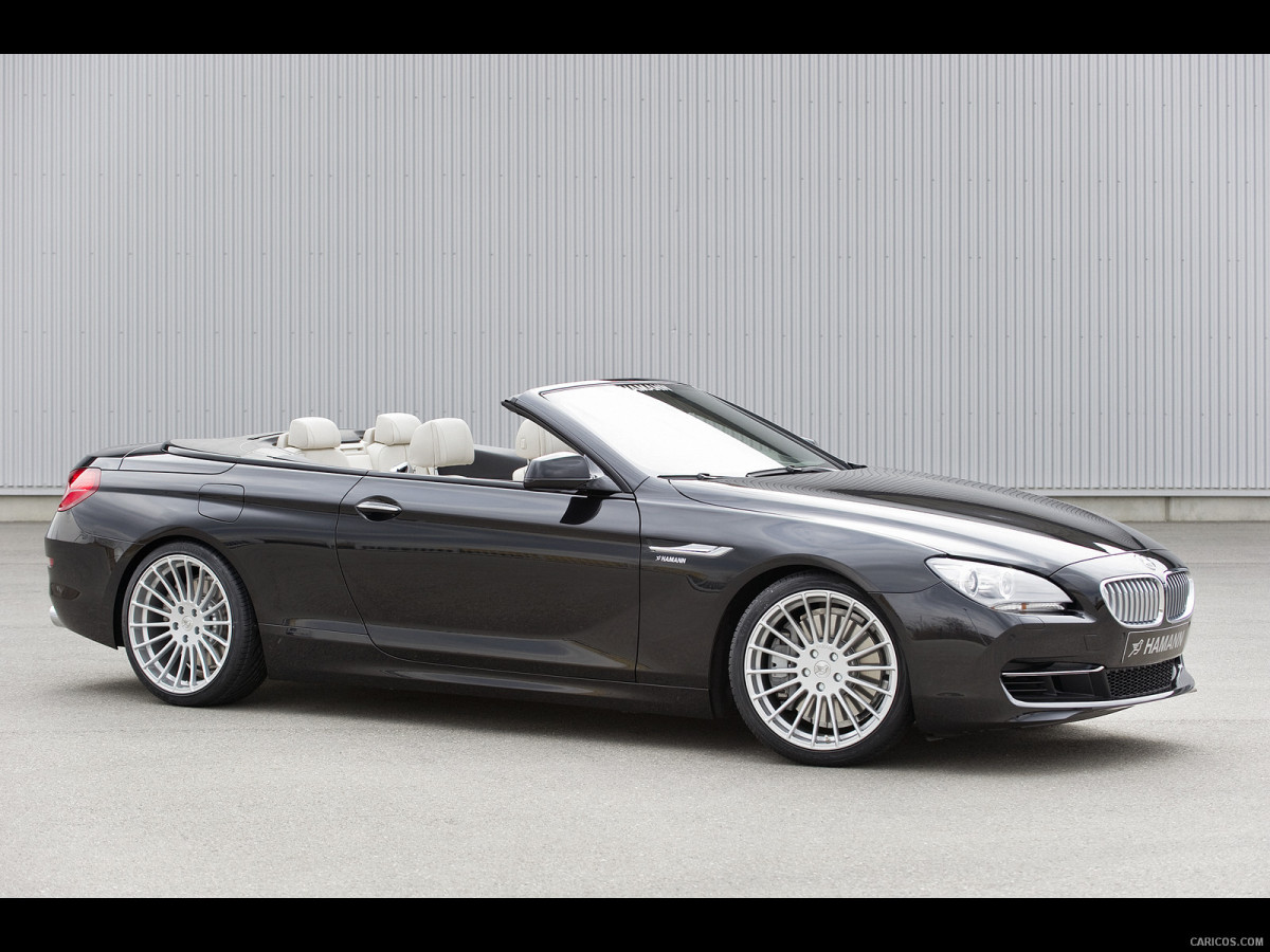 Hamann BMW 6 Series (E63) фото 137775