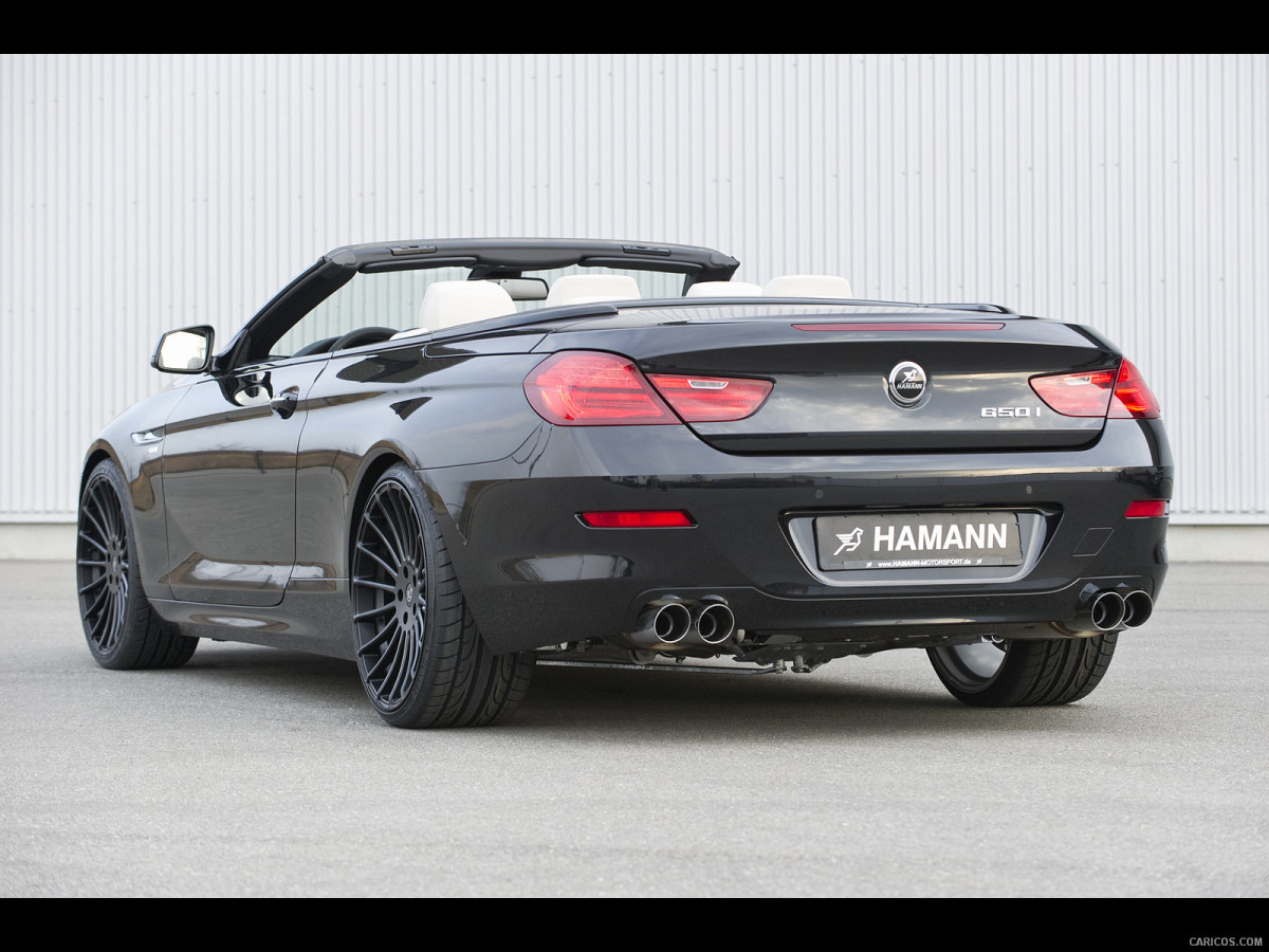 Hamann BMW 6 Series (E63) фото 137779