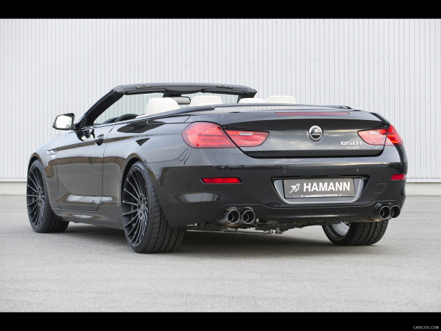 Hamann BMW 6 Series (E63) фото