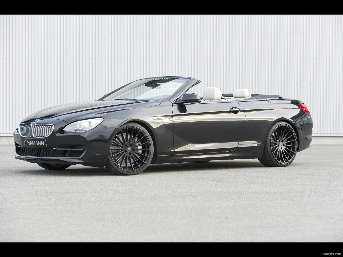 Hamann BMW 6 Series (E63) фото 137786