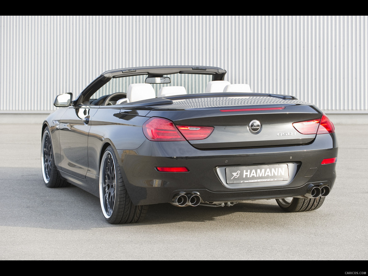 Hamann BMW 6 Series (E63) фото 137787