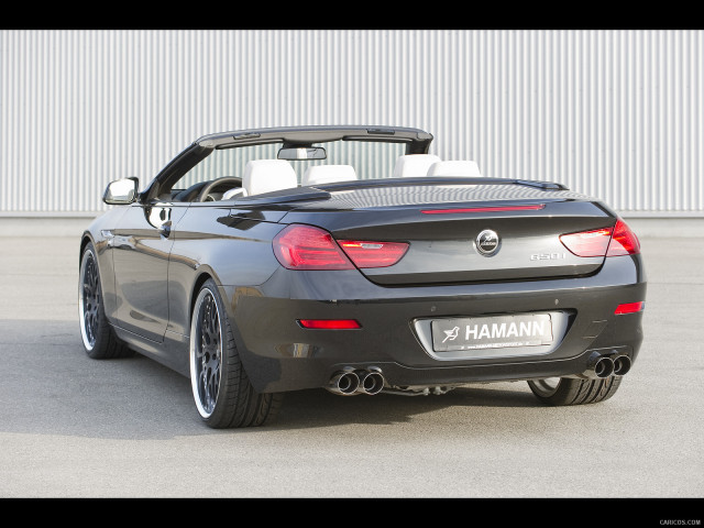 Hamann BMW 6 Series (E63) фото