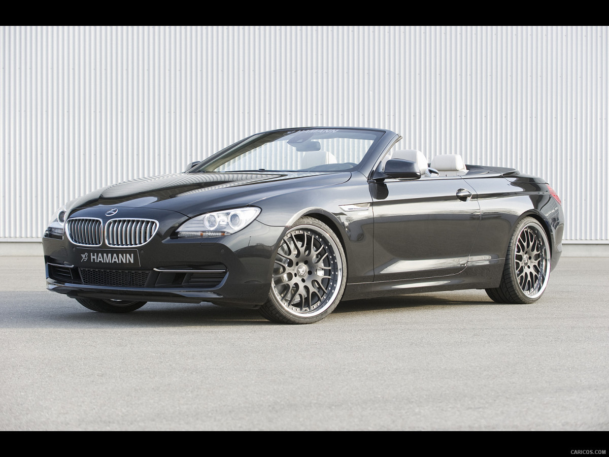 Hamann BMW 6 Series (E63) фото 137791