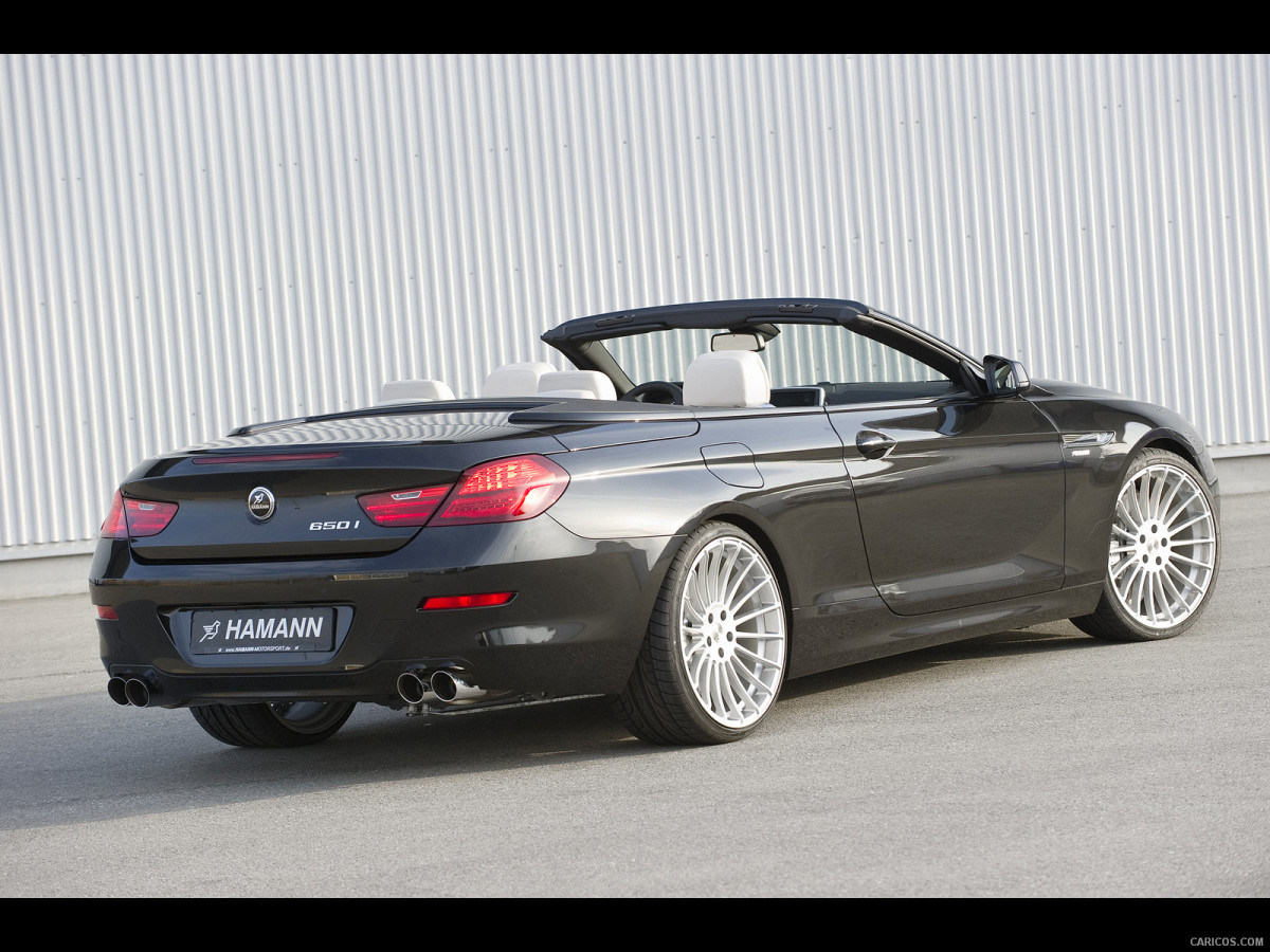 Hamann BMW 6 Series (E63) фото 137792