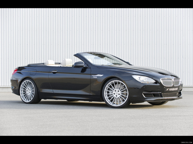 Hamann BMW 6 Series (E63) фото