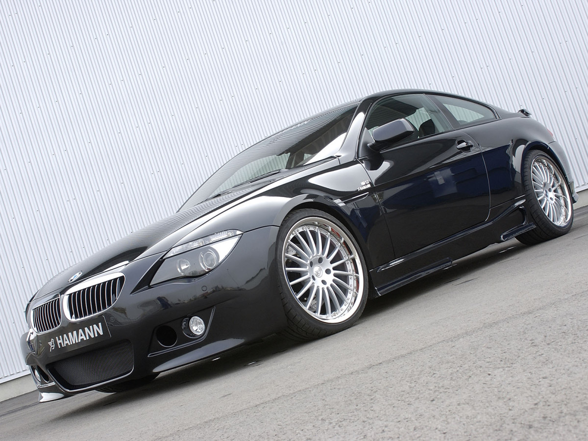 Hamann BMW 6 Series (E63) фото 17165