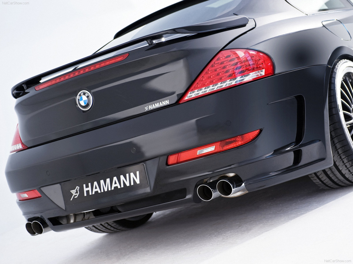 Hamann BMW 6 Series (E63) фото 57260