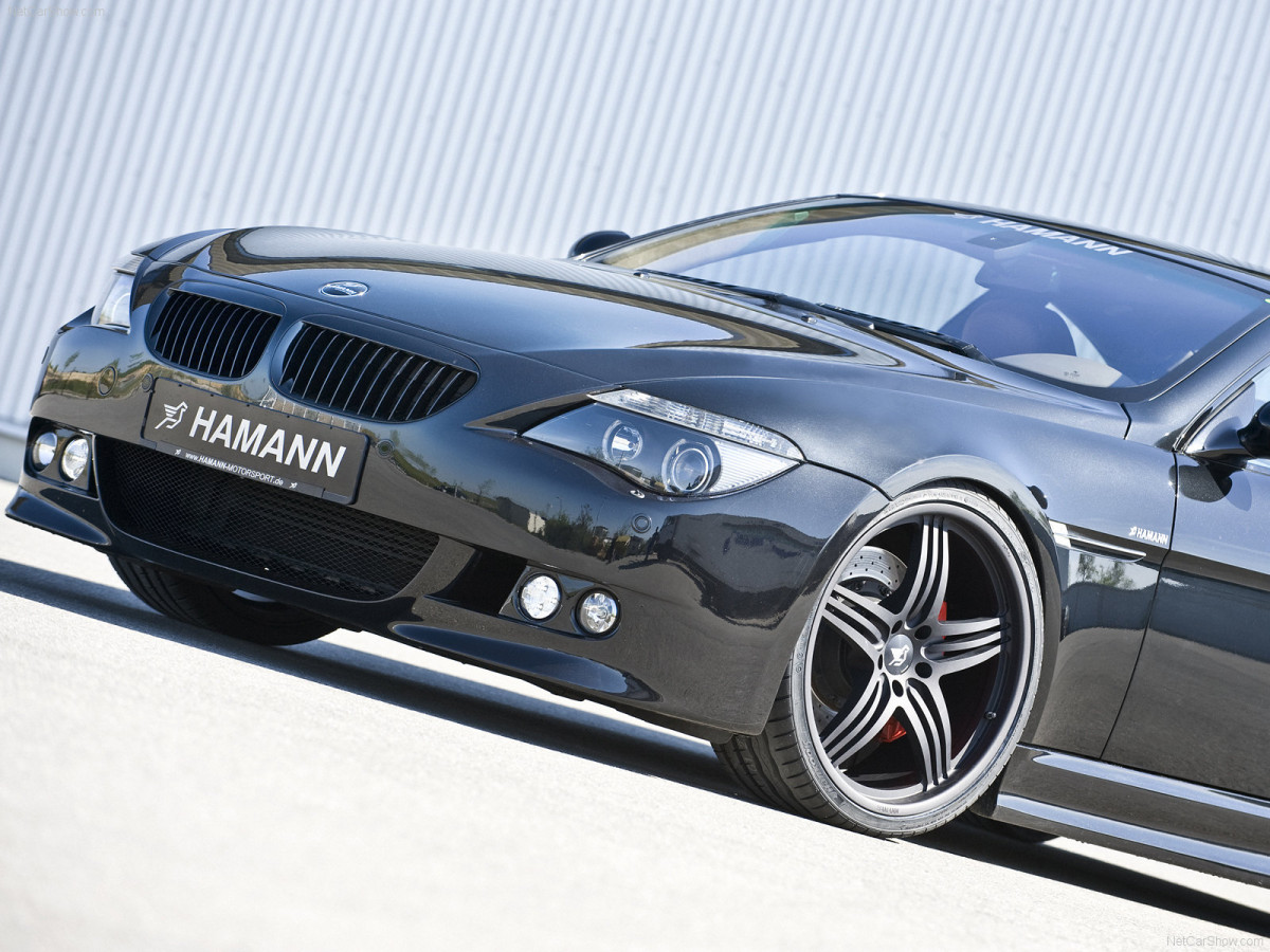 Hamann BMW 6 Series (E63) фото 57262