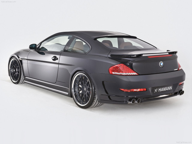 Hamann BMW 6 Series (E63) фото