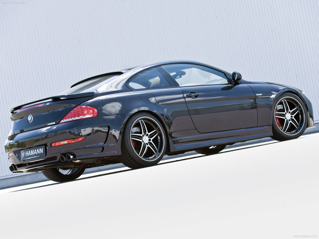 Hamann BMW 6 Series (E63) фото