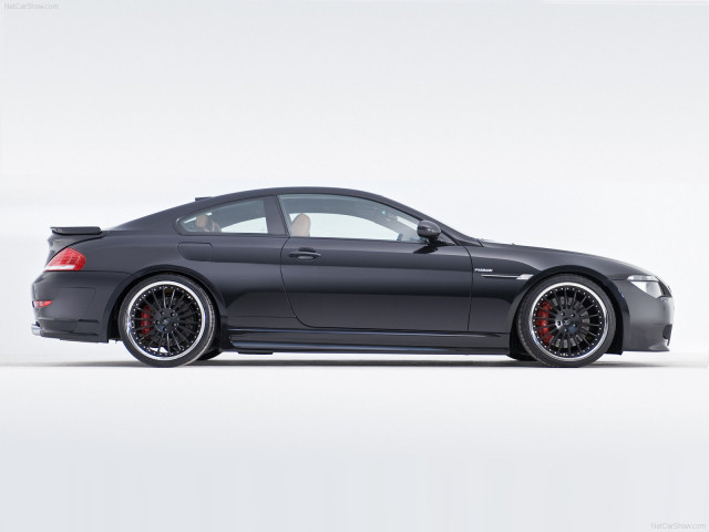 Hamann BMW 6 Series (E63) фото