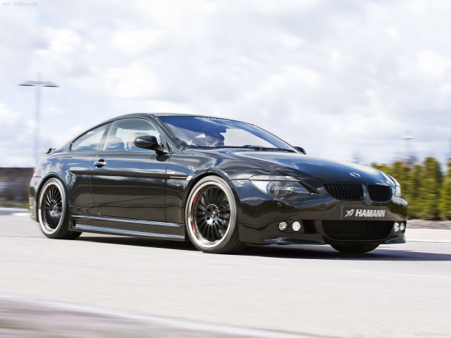 Hamann BMW 6 Series (E63) фото