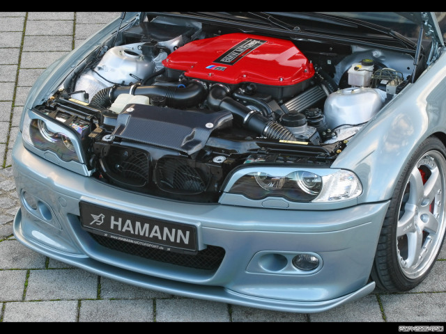 Hamann BMW Las Vegas Wings (E46) фото