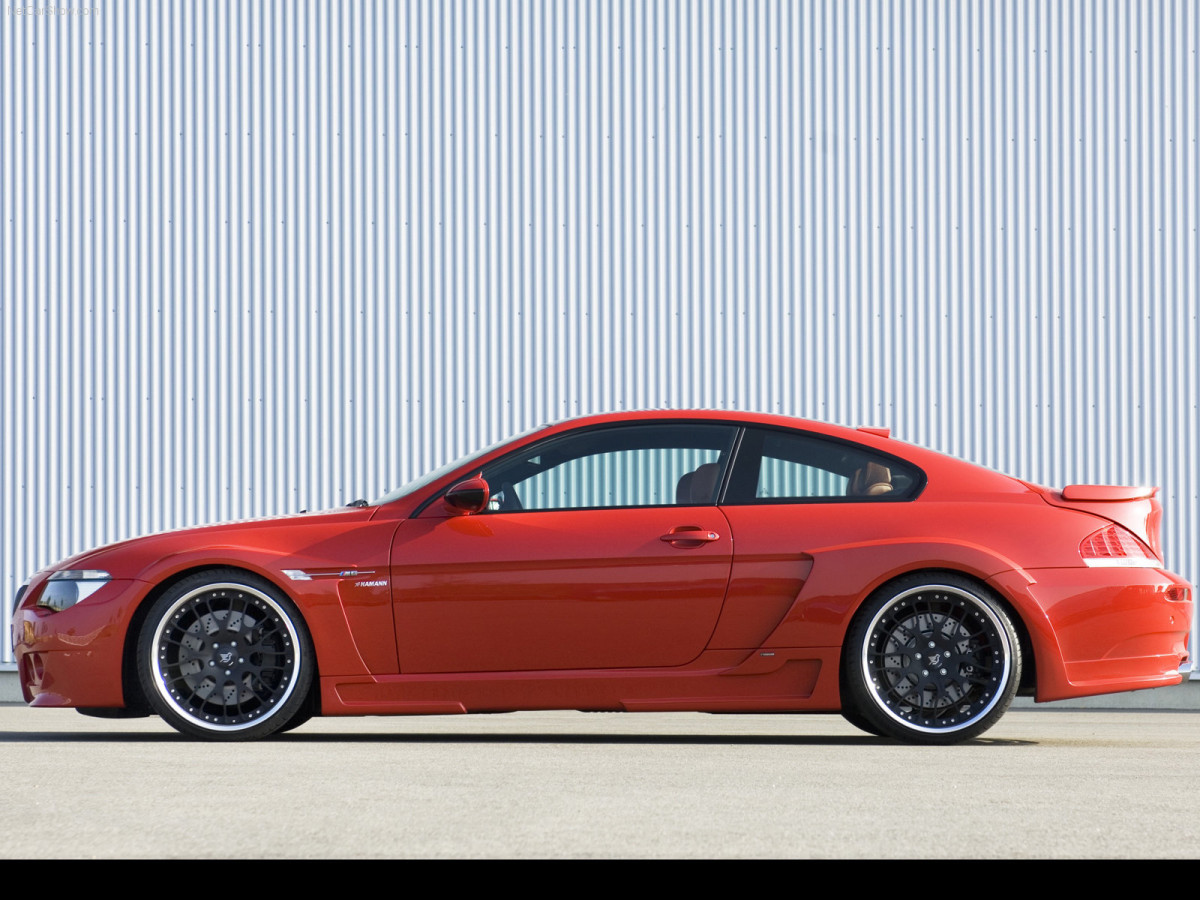 Hamann BMW M6 фото 38960