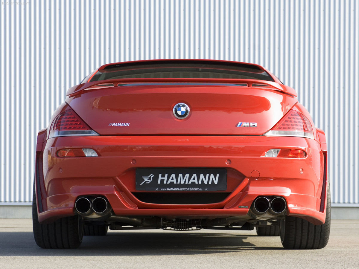 Hamann BMW M6 фото 38961