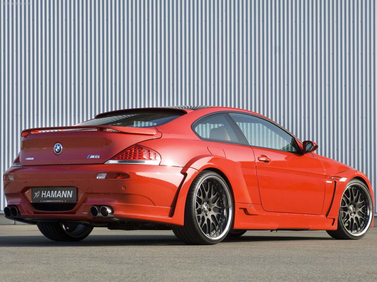 Hamann BMW M6 фото 38964