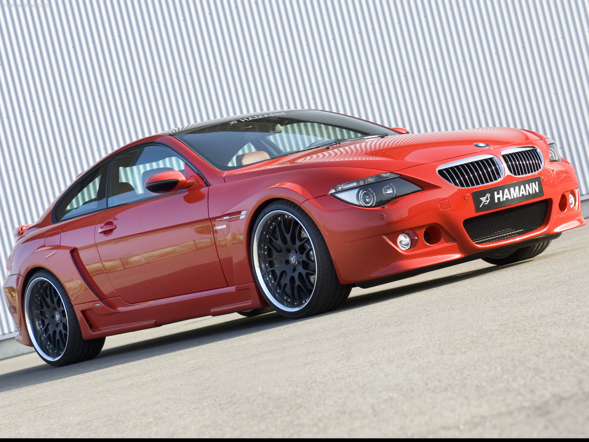 Hamann BMW M6 фото 38969