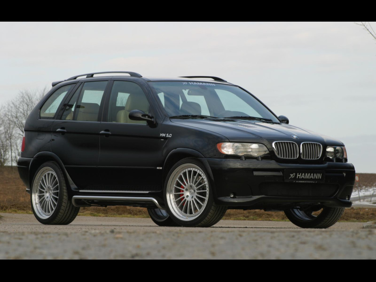 Hamann BMW X5 (E53) фото 17511