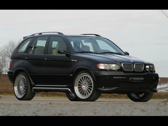 Hamann BMW X5 (E53) фото