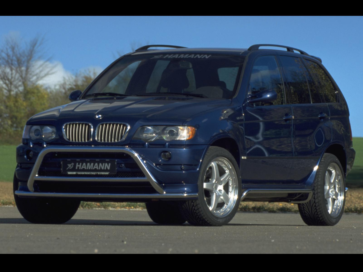 Hamann BMW X5 (E53) фото 17513