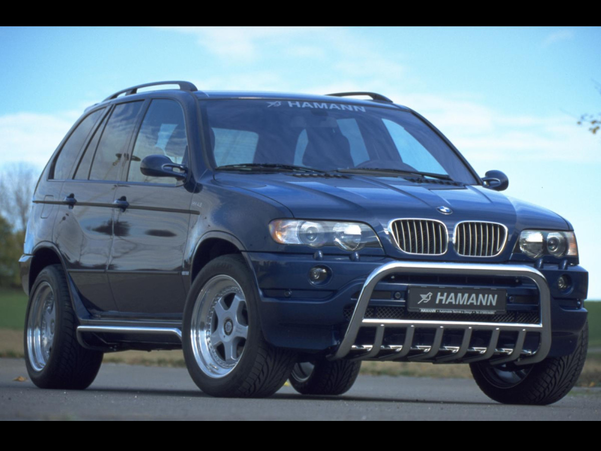 Hamann BMW X5 (E53) фото 17516