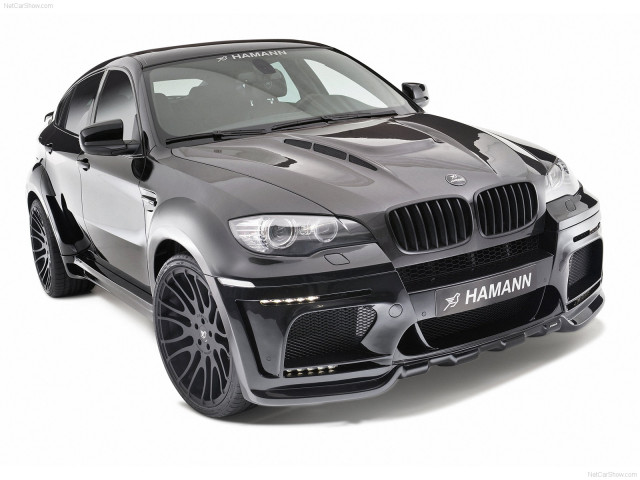 Hamann BMW X6 Tycoon Evo M фото