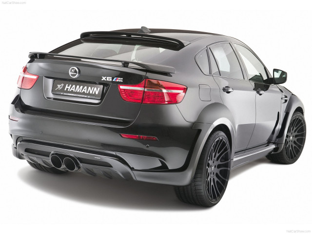 Hamann BMW X6 Tycoon Evo M фото