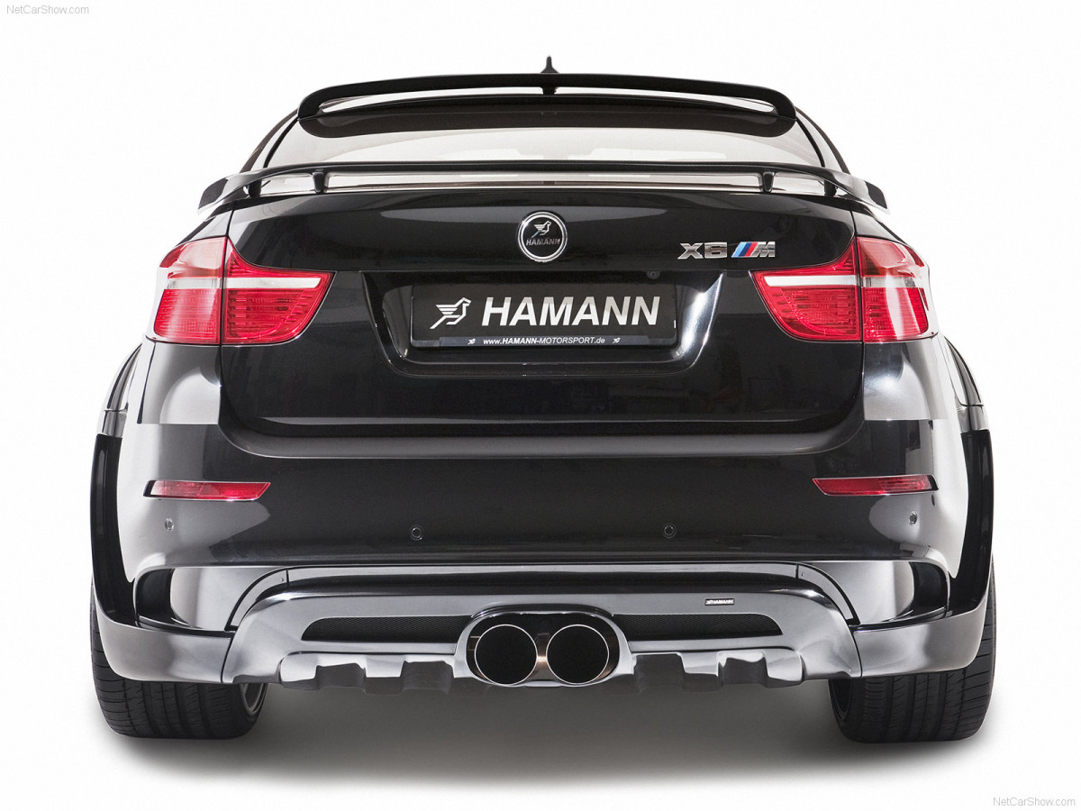 Hamann BMW X6 Tycoon Evo M фото 75233