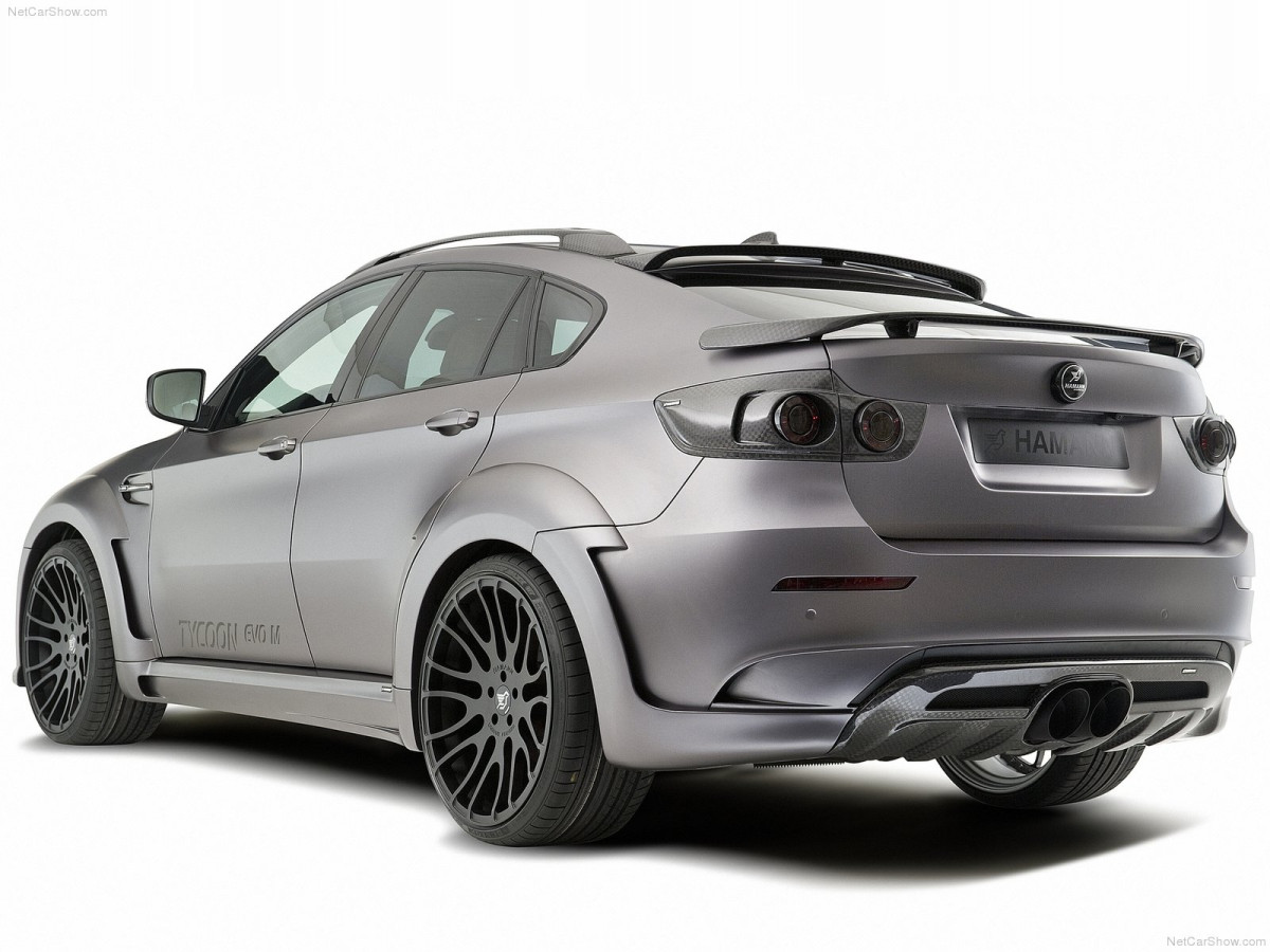 Hamann BMW X6 Tycoon Evo M фото 82324