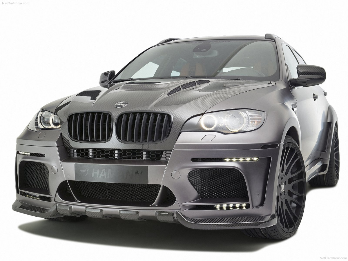 Hamann BMW X6 Tycoon Evo M фото 82328