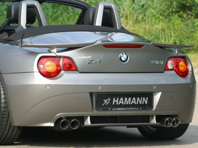 Hamann BMW Z4 HM 3.3 фото