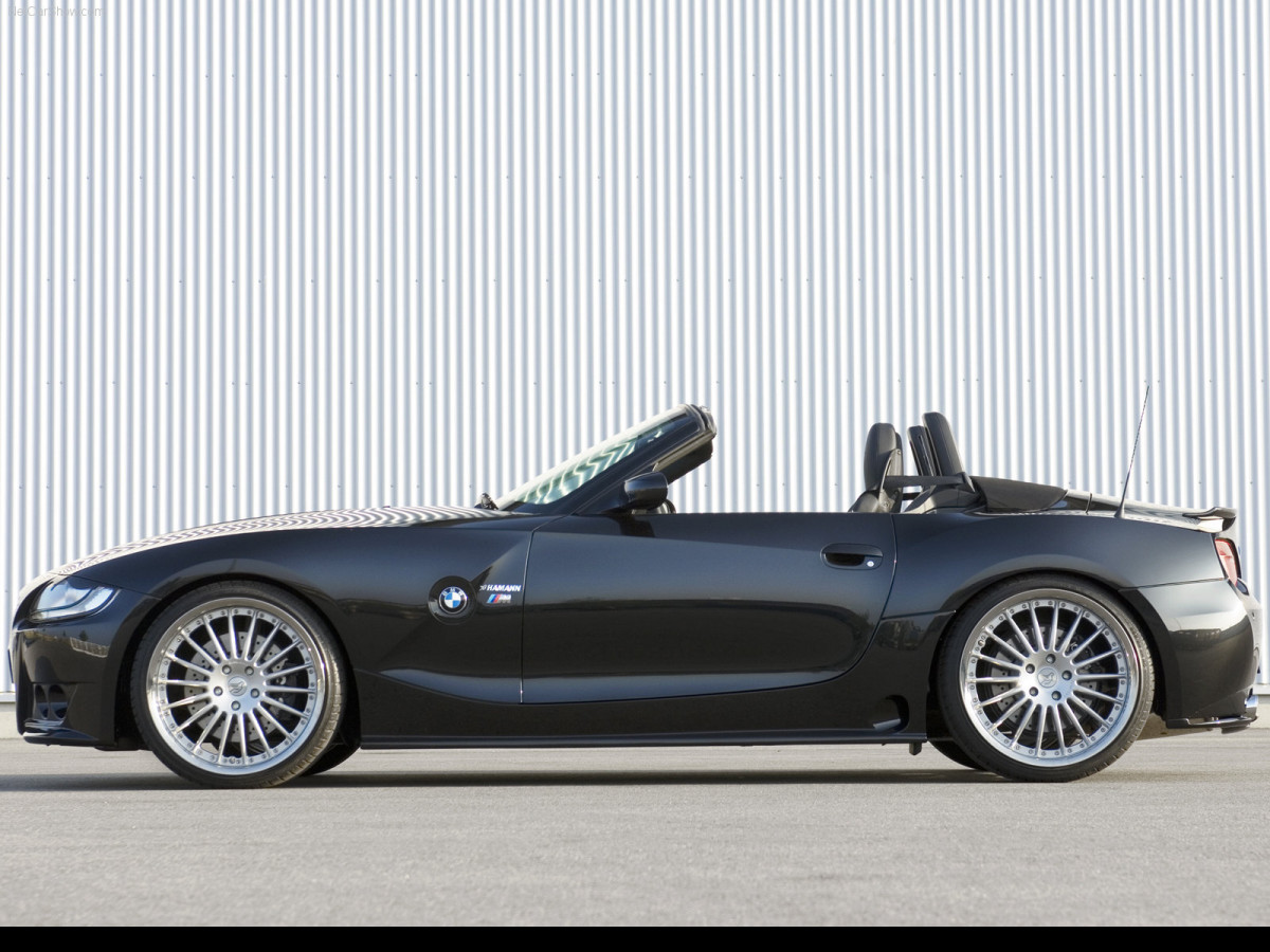 Hamann BMW Z4 M Roadster фото 39438