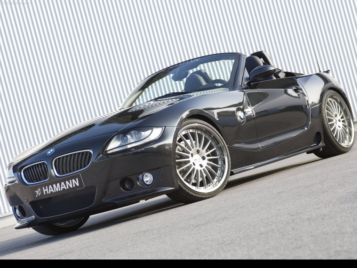 Hamann BMW Z4 M Roadster фото 39439