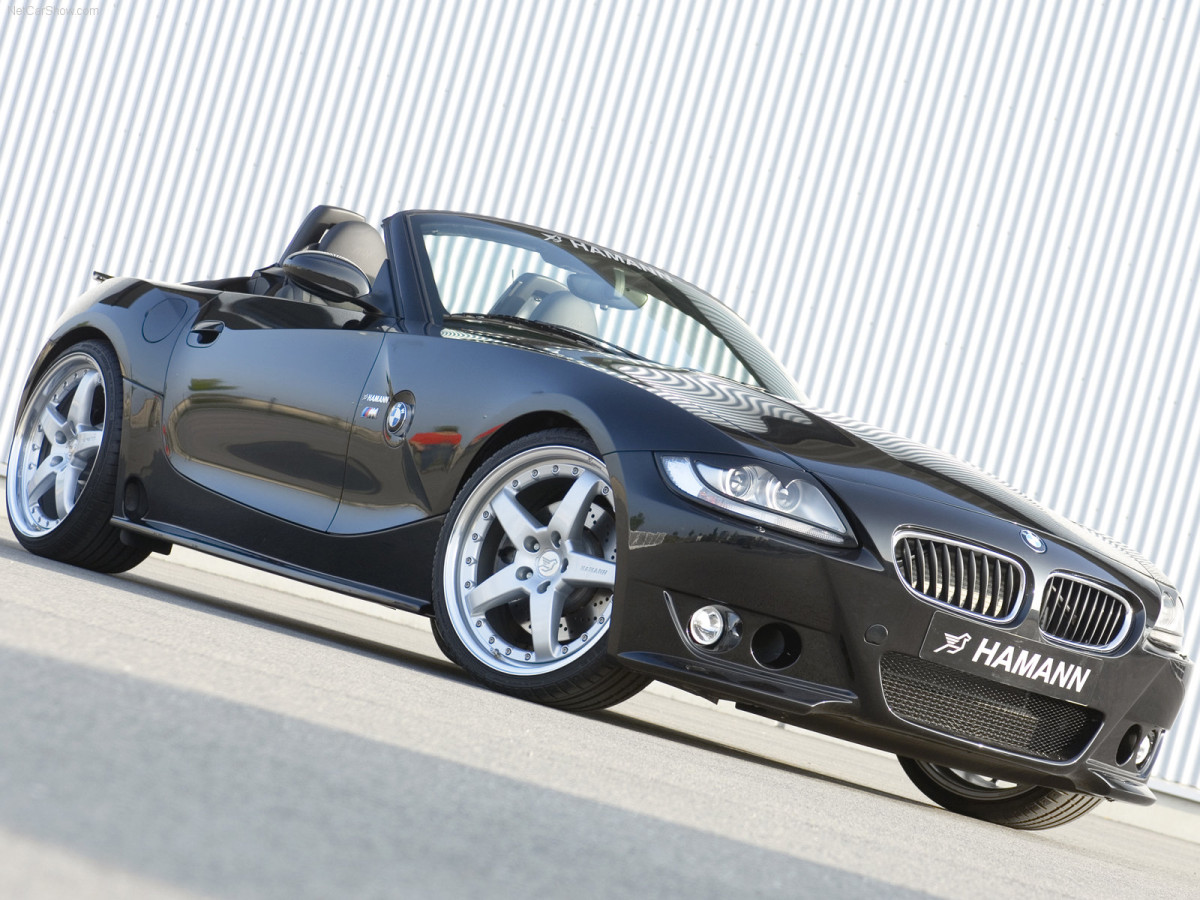 Hamann BMW Z4 M Roadster фото 39443