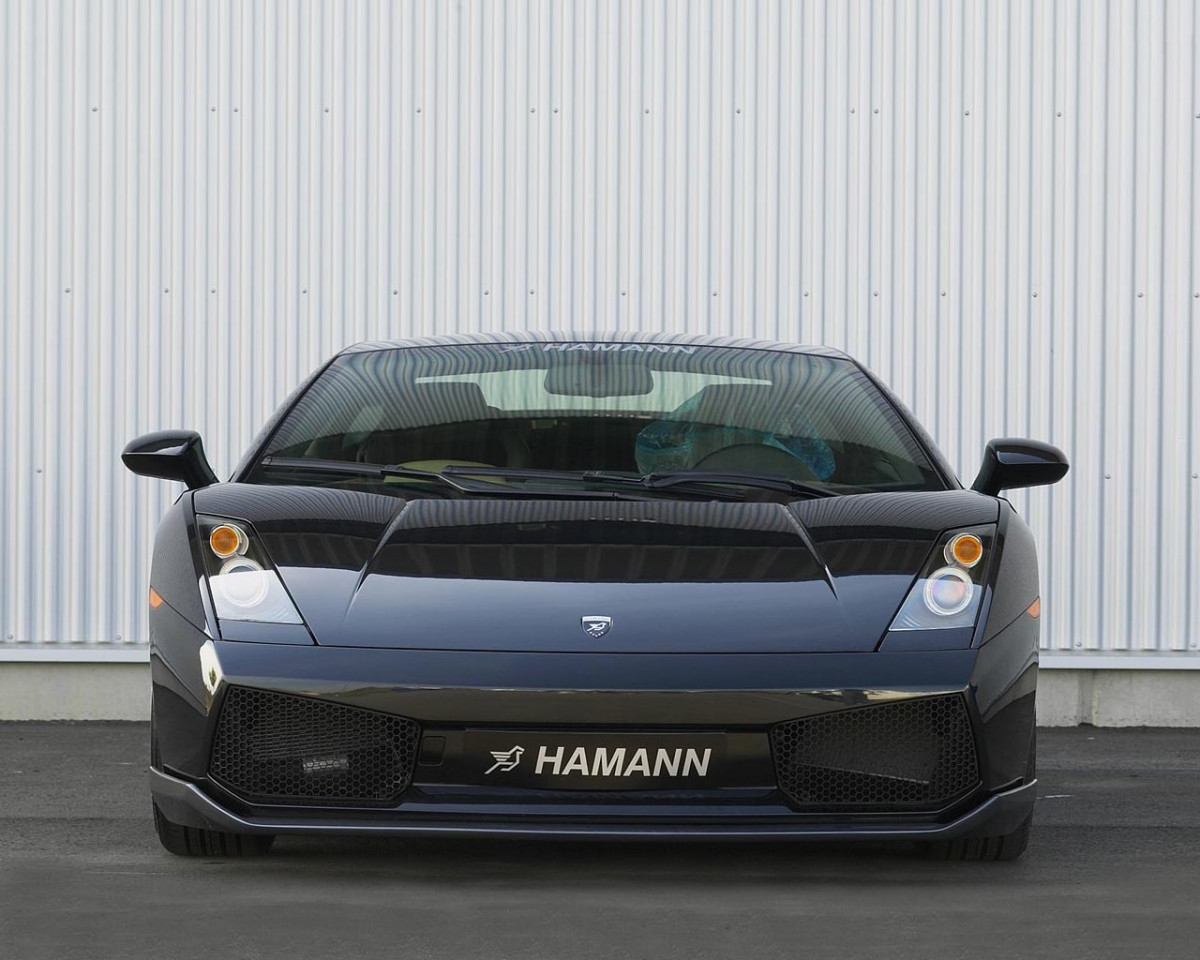 Hamann Lamborghini Gallardo фото 30358