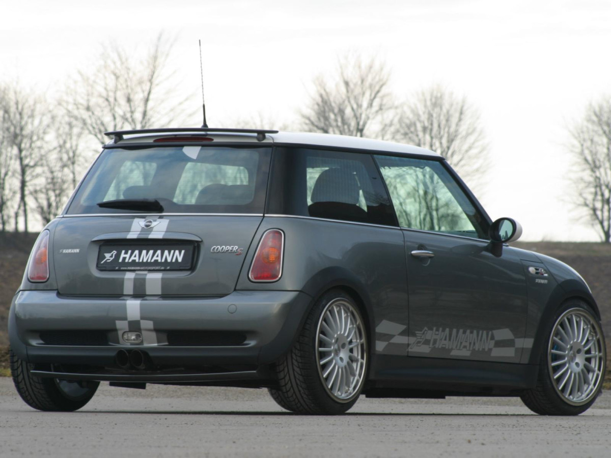 Hamann Mini Cooper S фото 17504