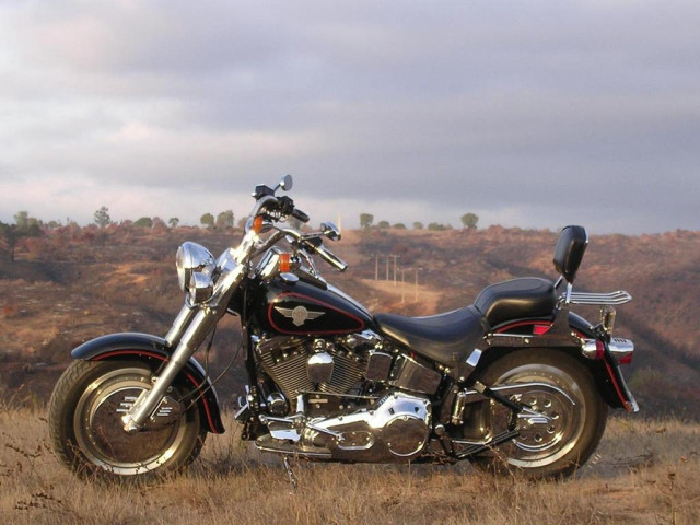 Harley-Davidson FLSTF Fat Boy фото