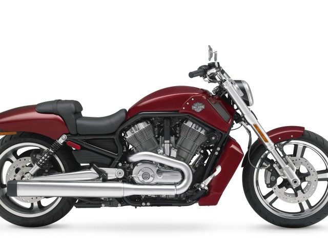 Harley-Davidson VRSCF V-Rod Muscle фото