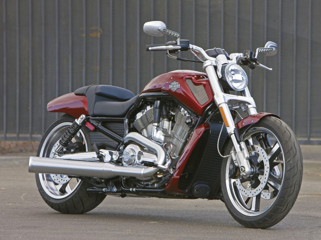 Harley-Davidson VRSCF V-Rod Muscle фото