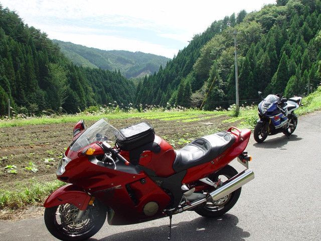 Honda CBR 1100XX Super Blackbird фото